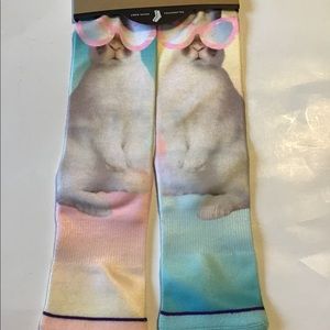 Tow of a Kind bunny rabbit socks.